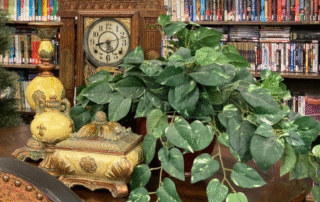 Store – Table and Books Books and home goods on display at Goodwill
